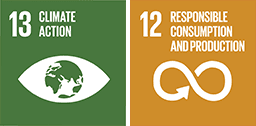 SDG 13: Climate action, SDG 12: Responsible consumption and production